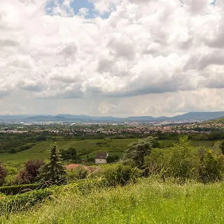 Og Access Clermont Ferrand